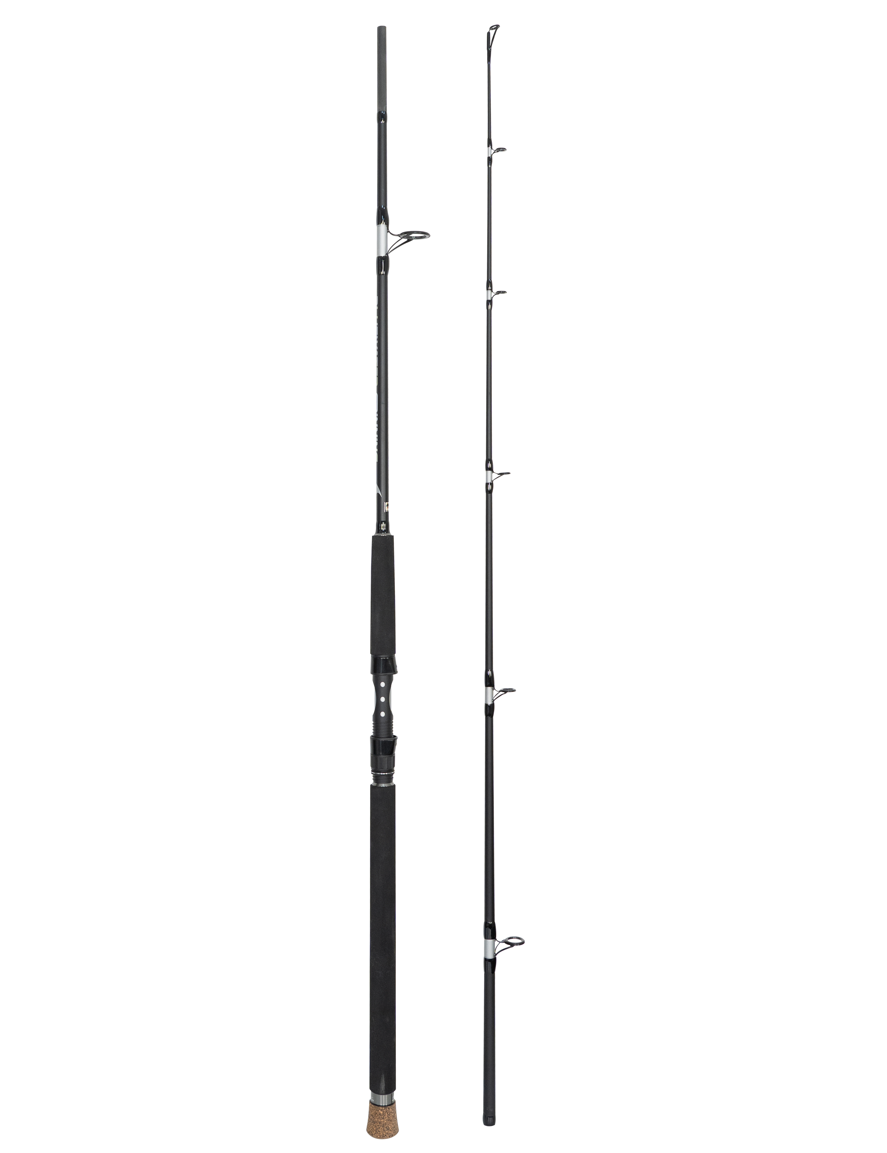 BLUEWING Bluewater Spinning Rod, 2 Pieces Design